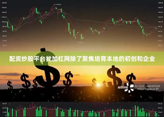 配资炒股平台找加杠网除了聚焦培育本地的初创和企业